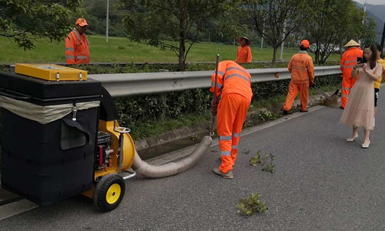手推式樹(shù)葉收集器工作中