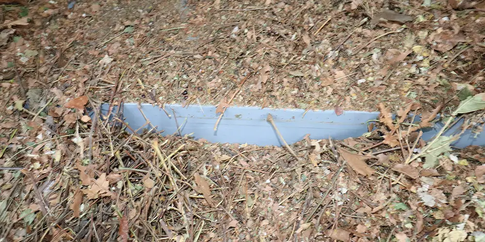 吸樹(shù)葉的機(jī)器 新型樹(shù)葉收集車(chē) 電動(dòng)樹(shù)葉專(zhuān)用收集車(chē) 樹(shù)葉收集一體車(chē) 吸入式樹(shù)葉收集車(chē)